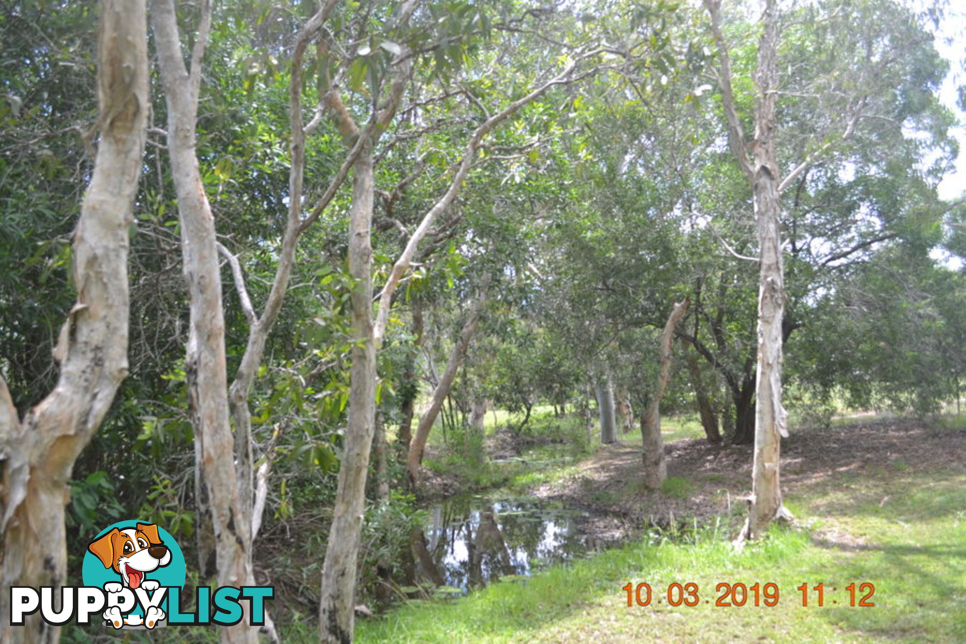 293 Ocean Parade BALGAL BEACH QLD 4816
