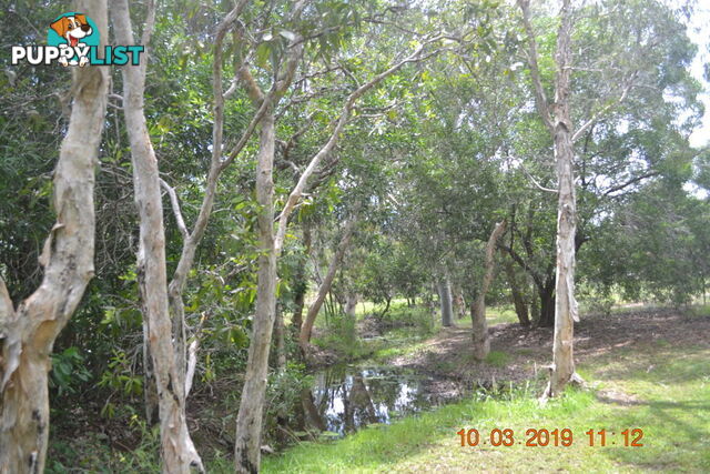 293 Ocean Parade BALGAL BEACH QLD 4816