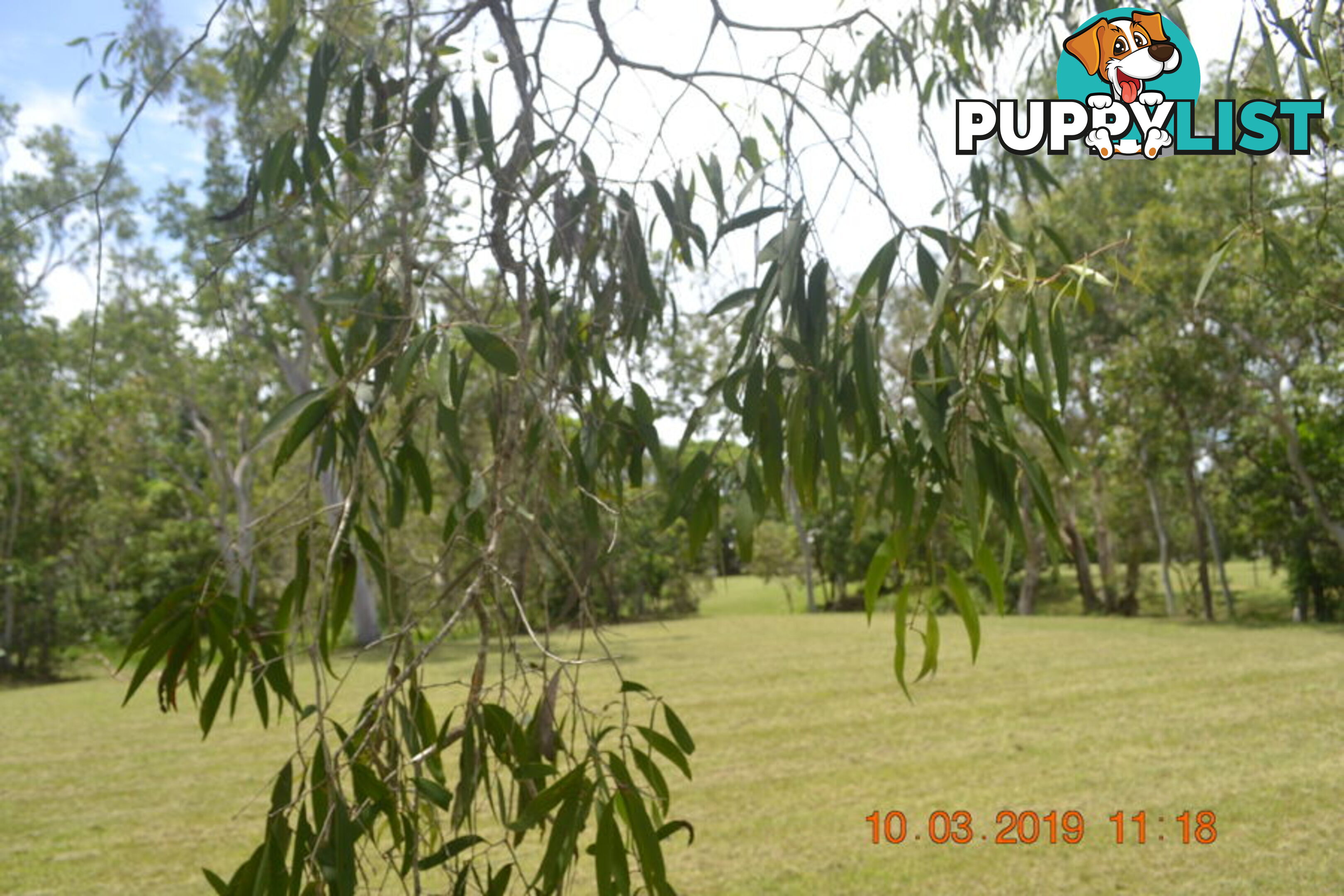 293 Ocean Parade BALGAL BEACH QLD 4816
