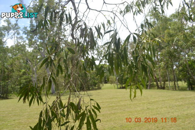 293 Ocean Parade BALGAL BEACH QLD 4816