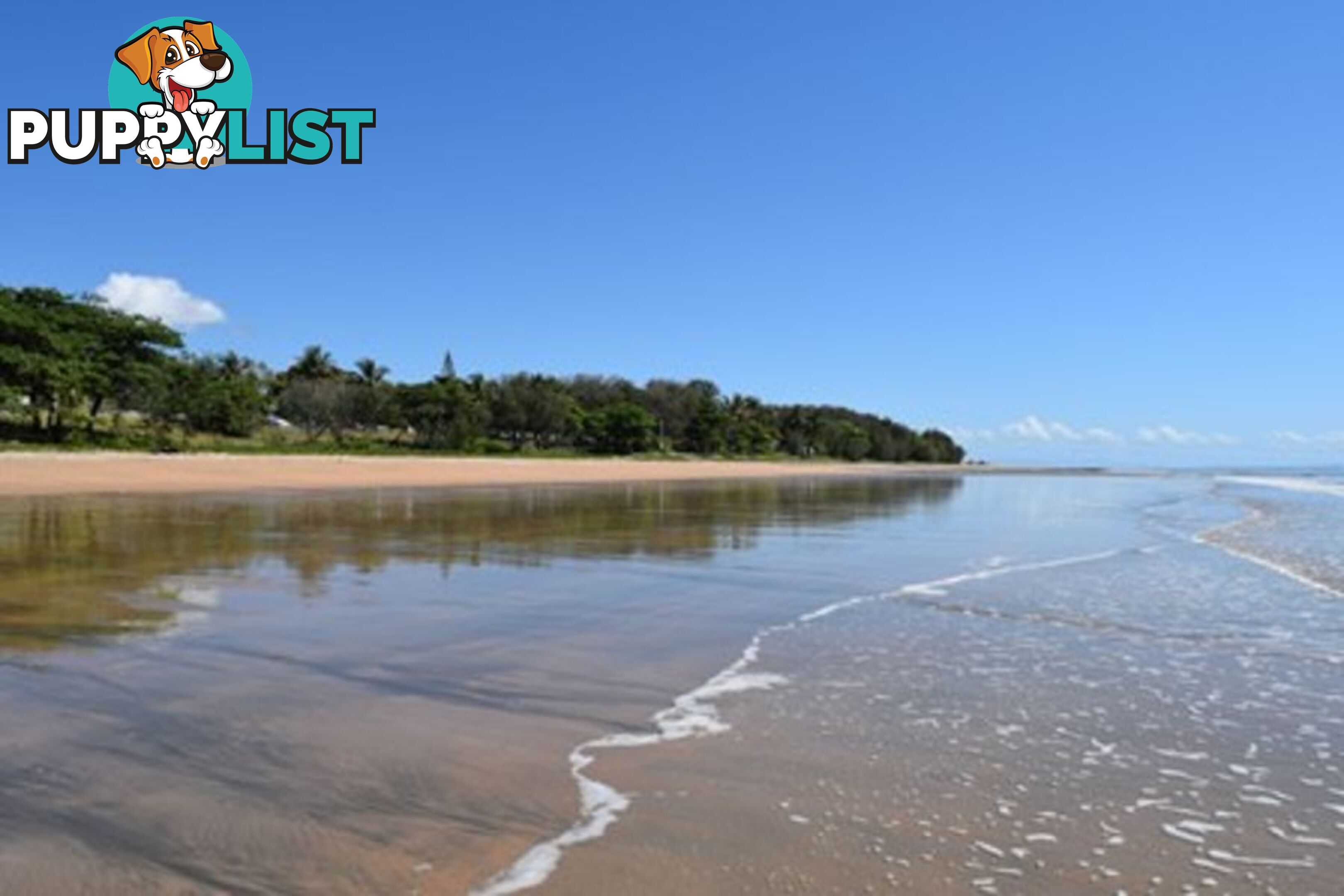 293 Ocean Parade BALGAL BEACH QLD 4816
