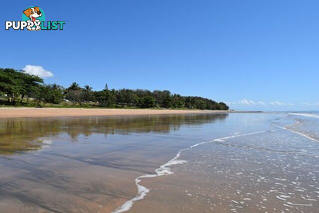 293 Ocean Parade BALGAL BEACH QLD 4816