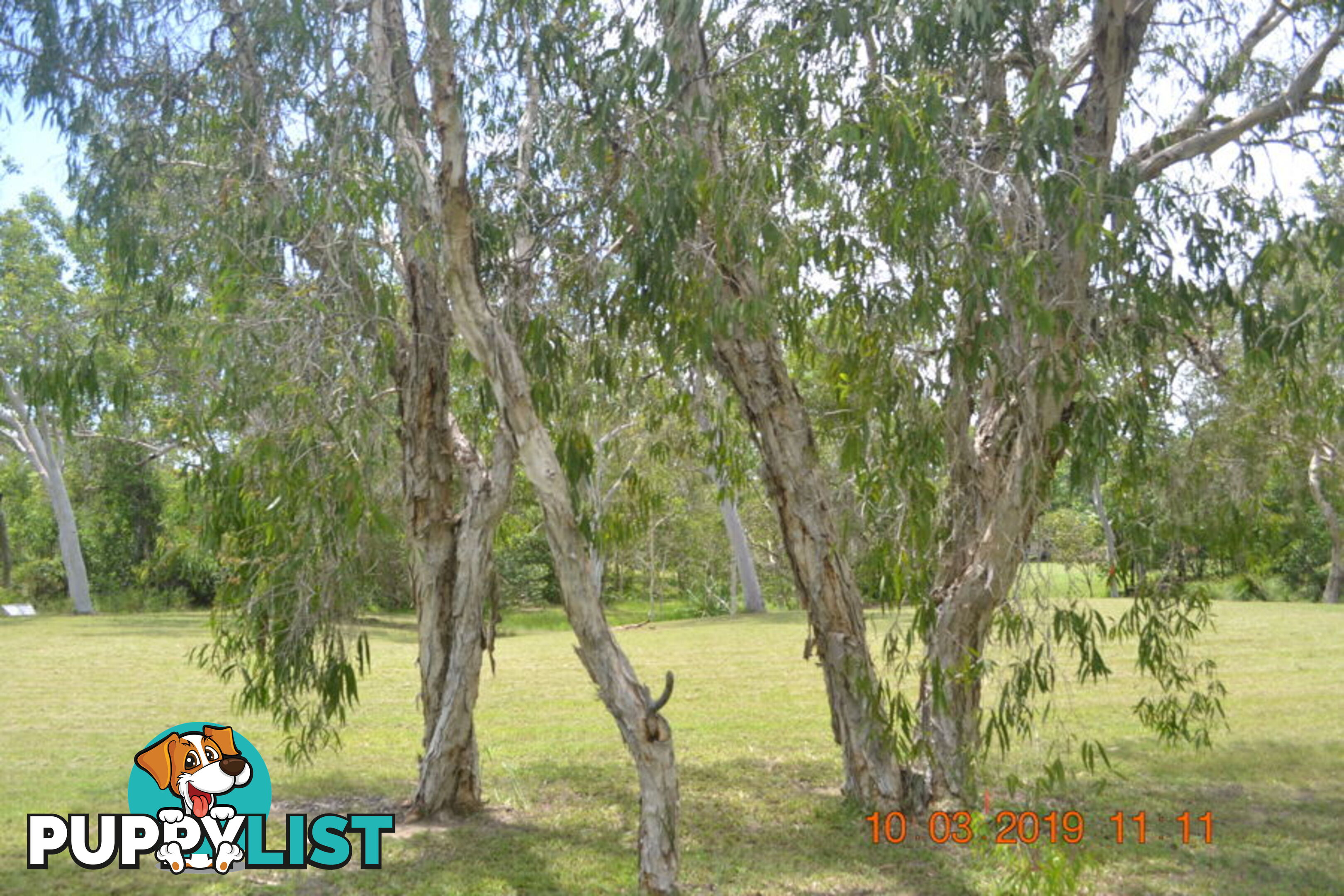 293 Ocean Parade BALGAL BEACH QLD 4816