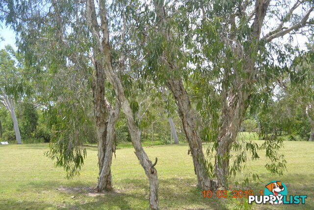 293 Ocean Parade BALGAL BEACH QLD 4816
