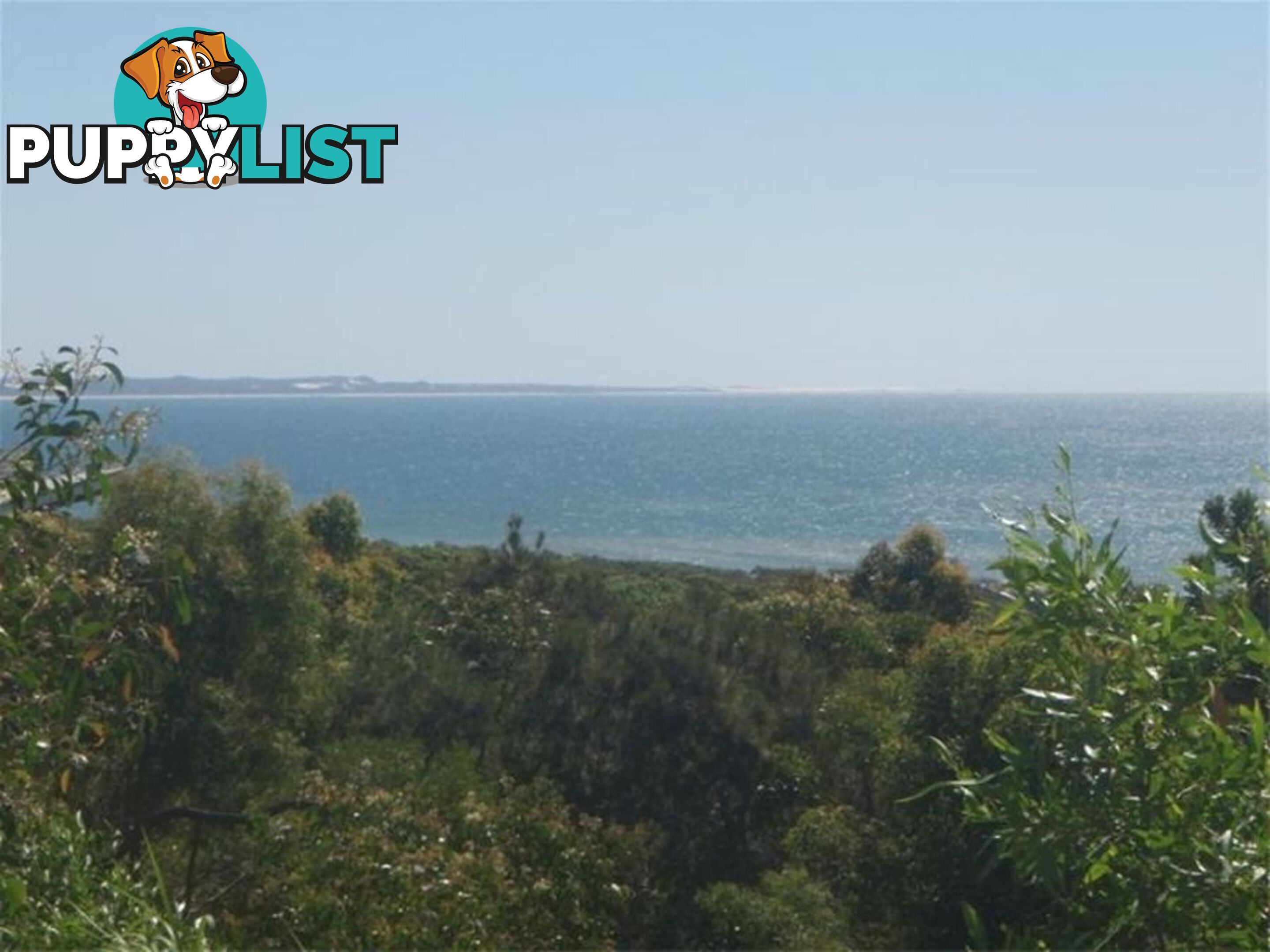 4 Bracefell Crt FRASER ISLAND QLD 4581