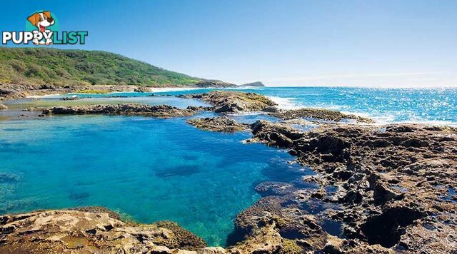 4 Bracefell Crt FRASER ISLAND QLD 4581