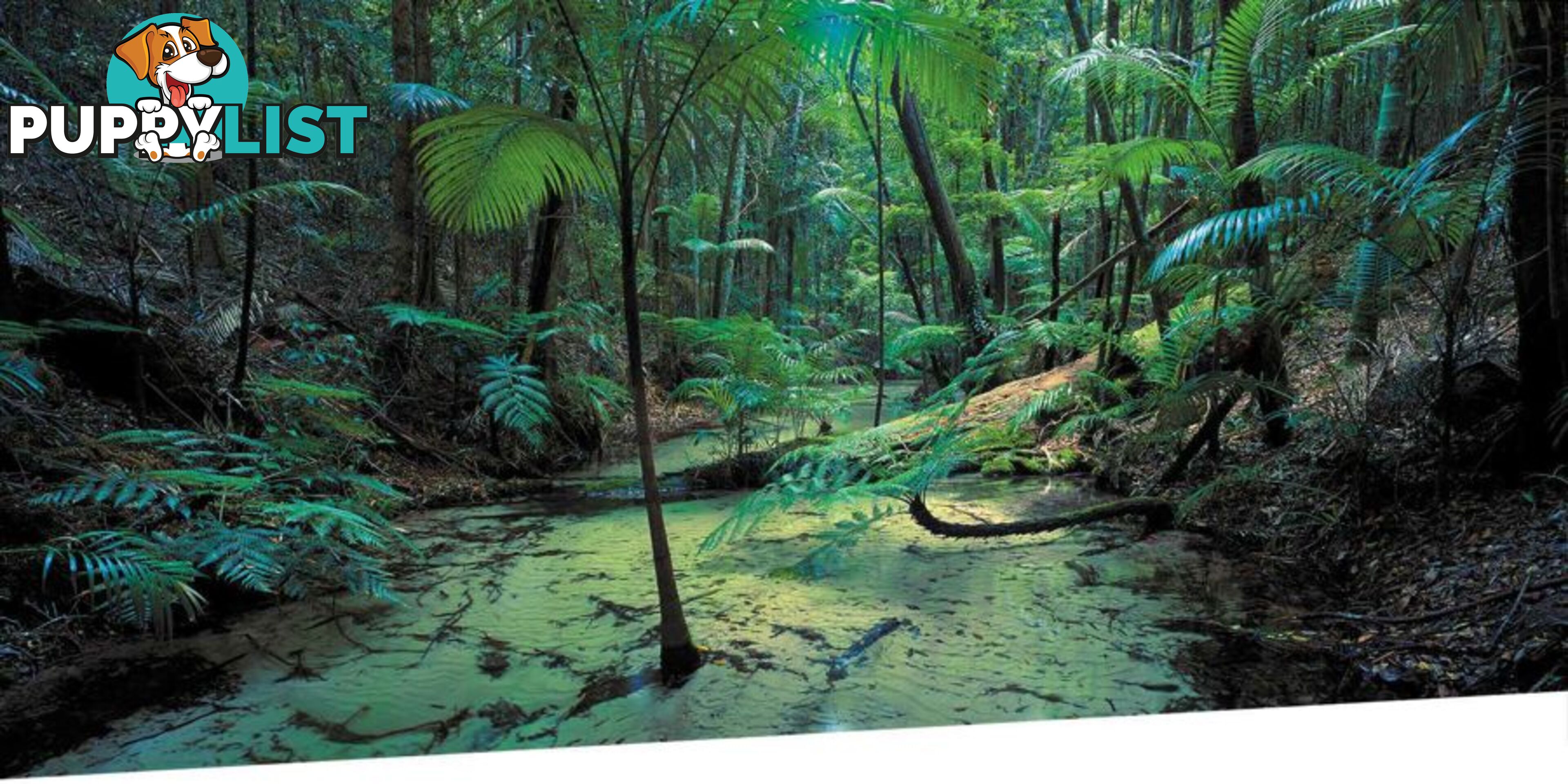 4 Bracefell Crt FRASER ISLAND QLD 4581