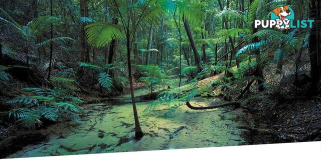 4 Bracefell Crt FRASER ISLAND QLD 4581