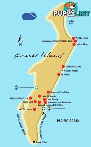 4 Bracefell Crt FRASER ISLAND QLD 4581