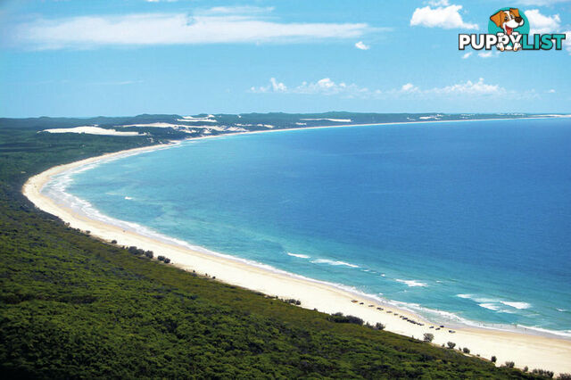 4 Bracefell Crt FRASER ISLAND QLD 4581