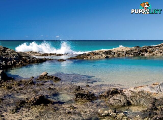 4 Bracefell Crt FRASER ISLAND QLD 4581