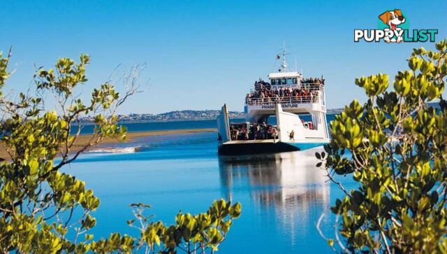 4 Bracefell Crt FRASER ISLAND QLD 4581