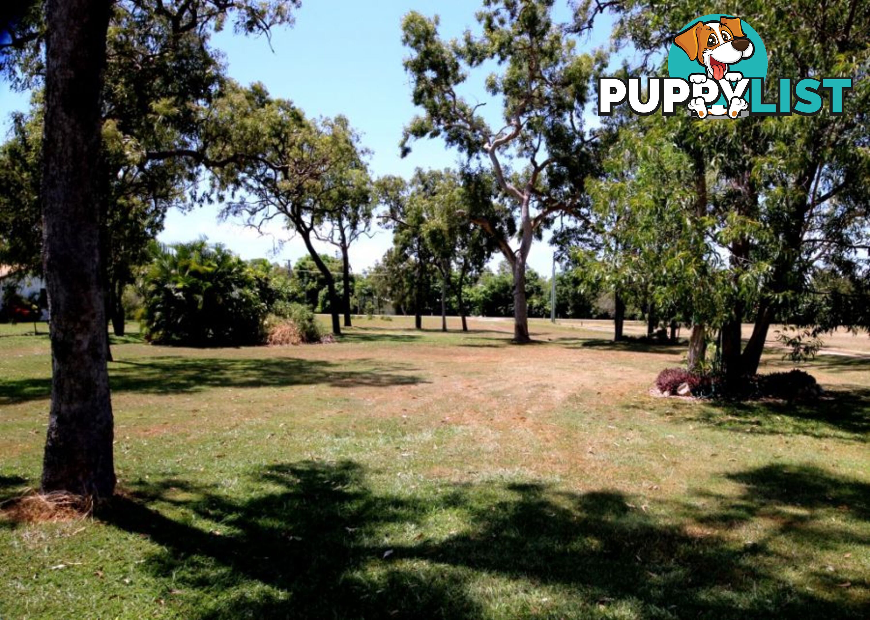 28 Mystic Ave BALGAL BEACH QLD 4816