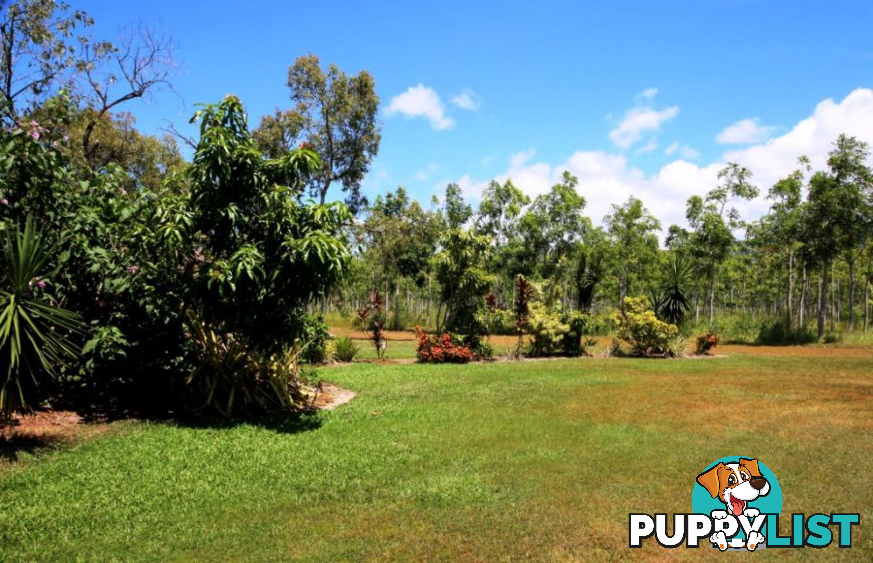28 Mystic Ave BALGAL BEACH QLD 4816