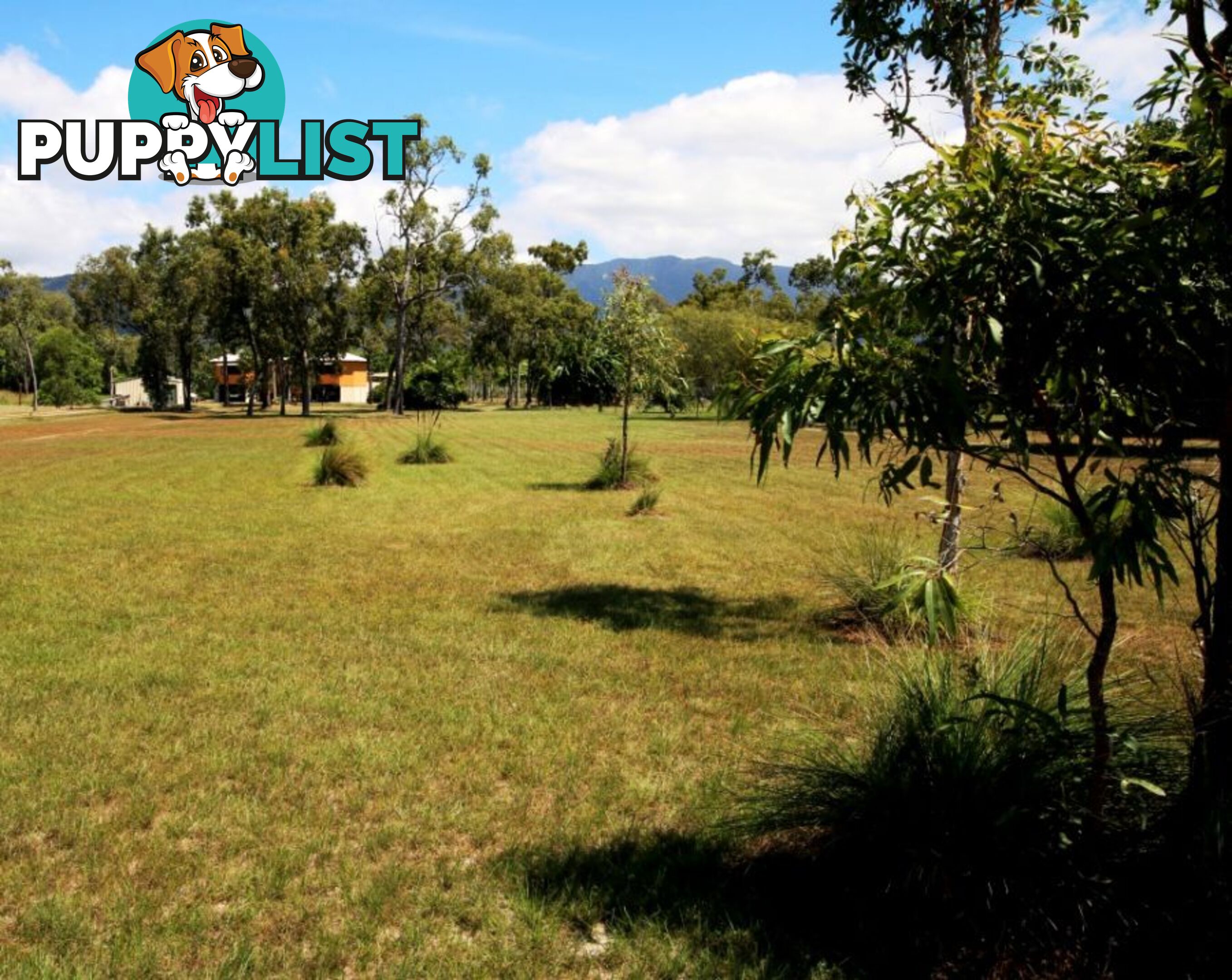 28 Mystic Ave BALGAL BEACH QLD 4816