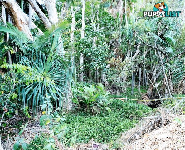 13 Augusta Drive BALGAL BEACH QLD 4816