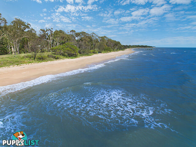 28 Beach Crt at 129 Mystic Ave BALGAL BEACH QLD 4816