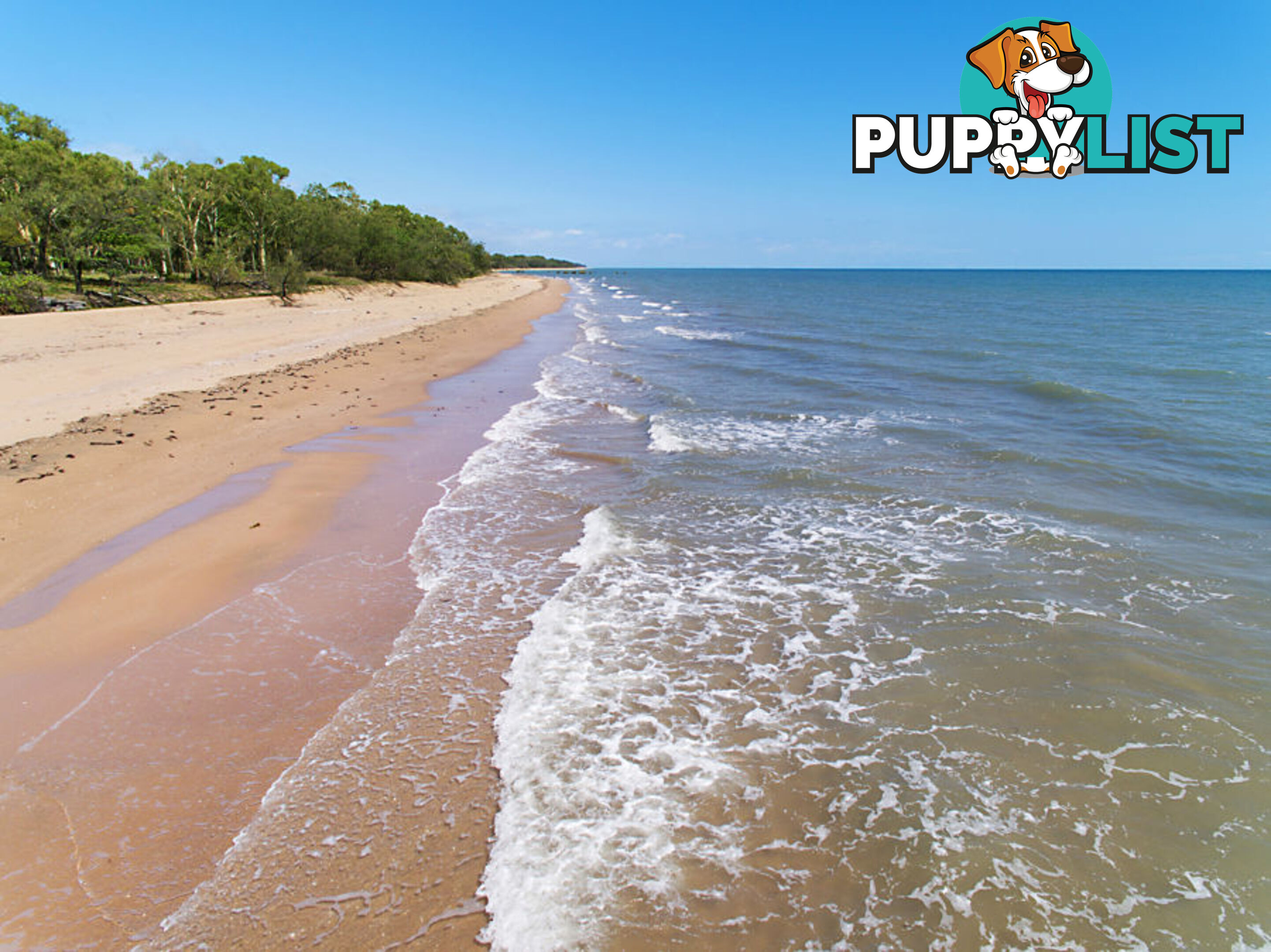 28 Beach Crt at 129 Mystic Ave BALGAL BEACH QLD 4816