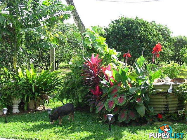 31 Balgal Beach Rd BALGAL BEACH QLD 4816