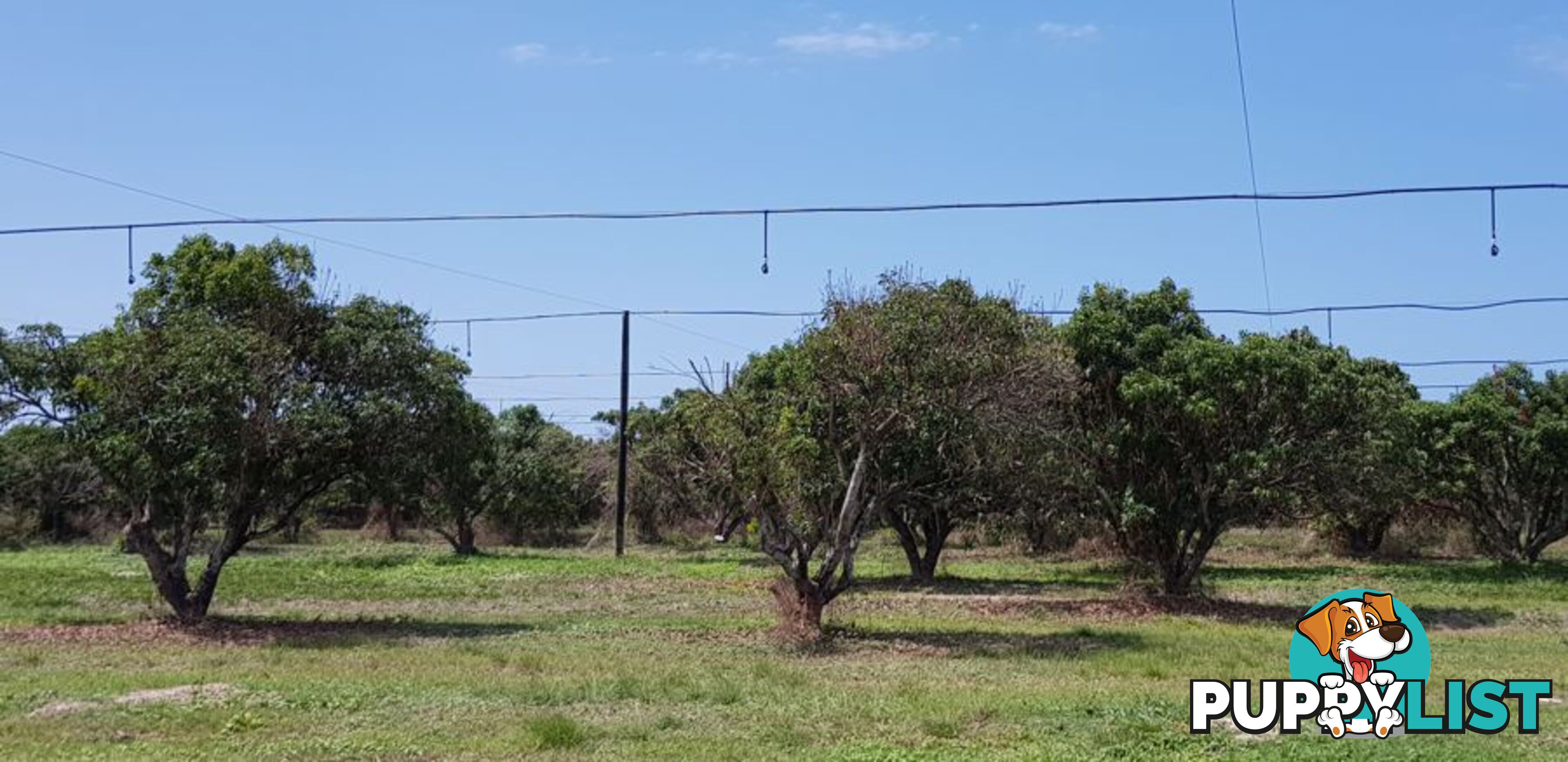31 Balgal Beach Rd BALGAL BEACH QLD 4816