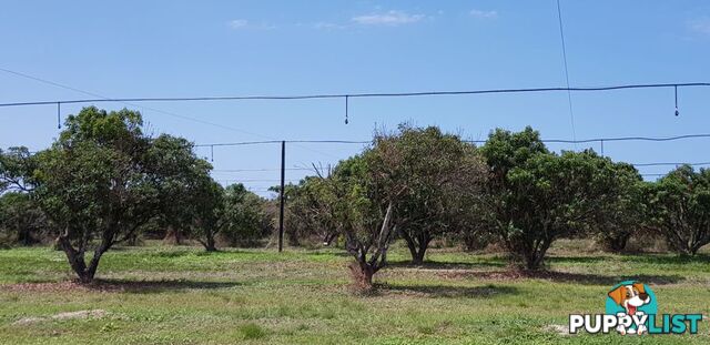 31 Balgal Beach Rd BALGAL BEACH QLD 4816