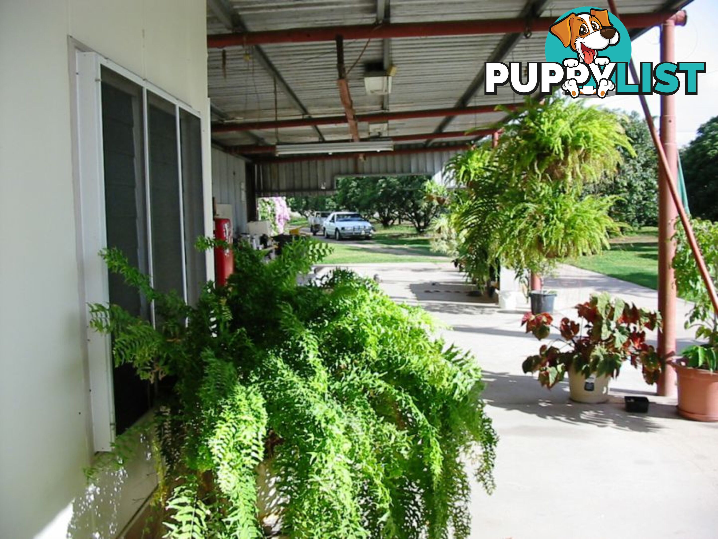 31 Balgal Beach Rd BALGAL BEACH QLD 4816