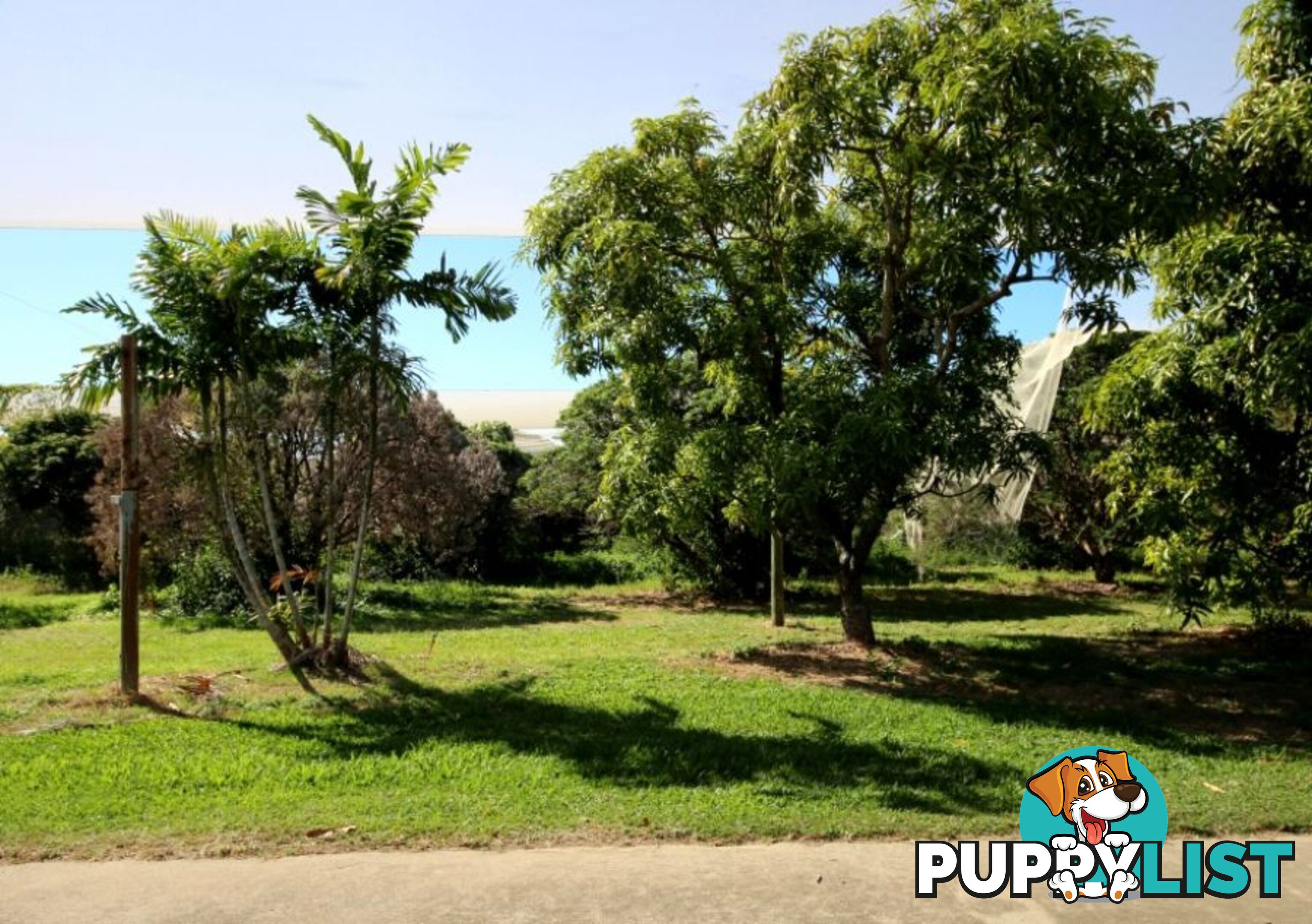 31 Balgal Beach Rd BALGAL BEACH QLD 4816