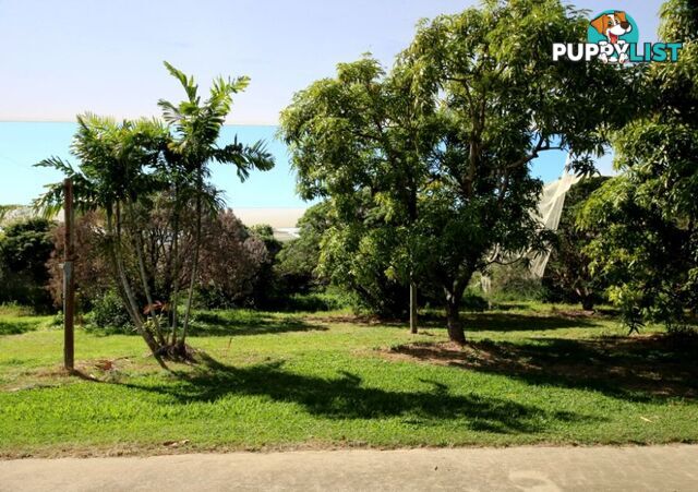 31 Balgal Beach Rd BALGAL BEACH QLD 4816
