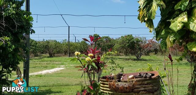 31 Balgal Beach Rd BALGAL BEACH QLD 4816