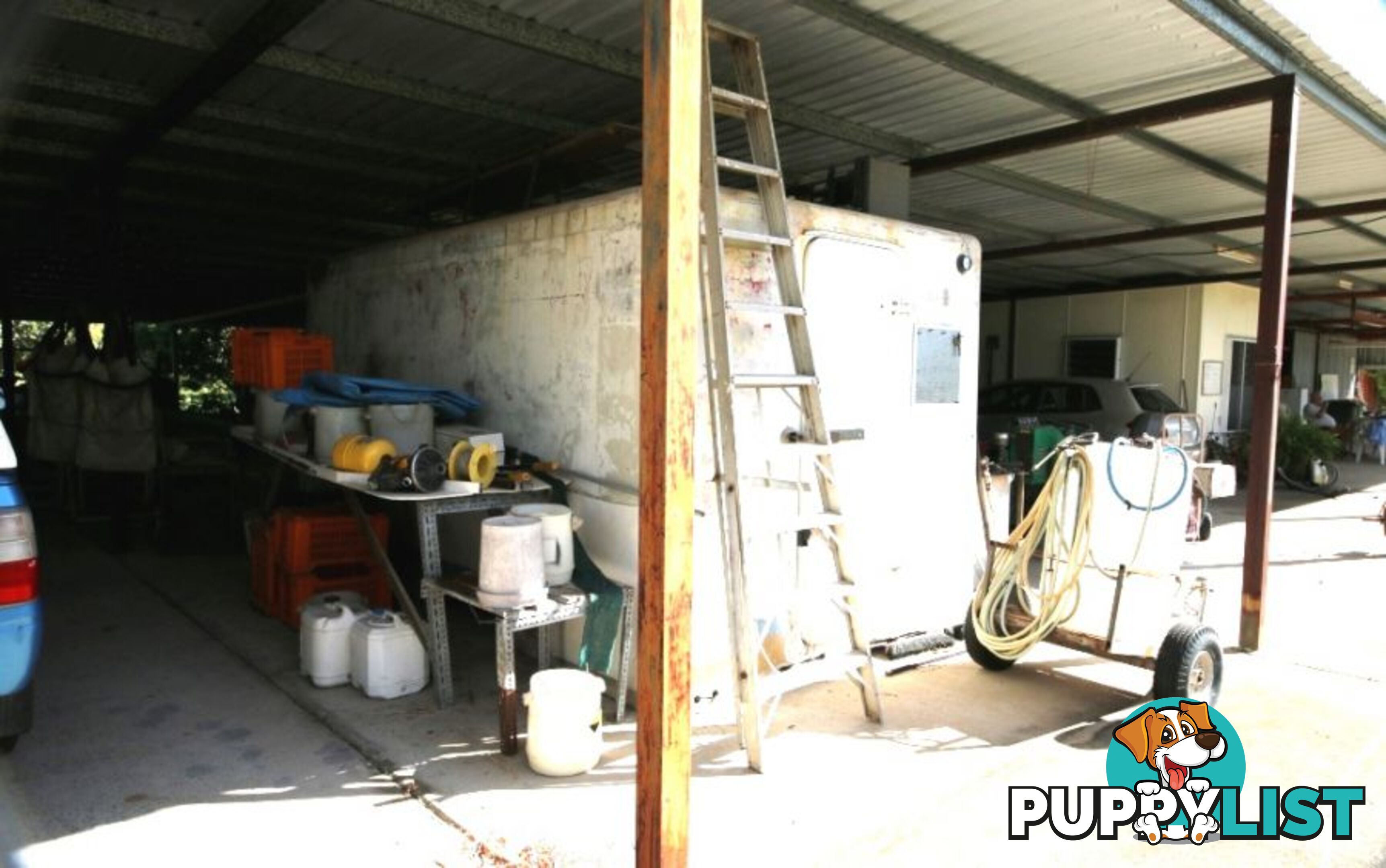 31 Balgal Beach Rd BALGAL BEACH QLD 4816