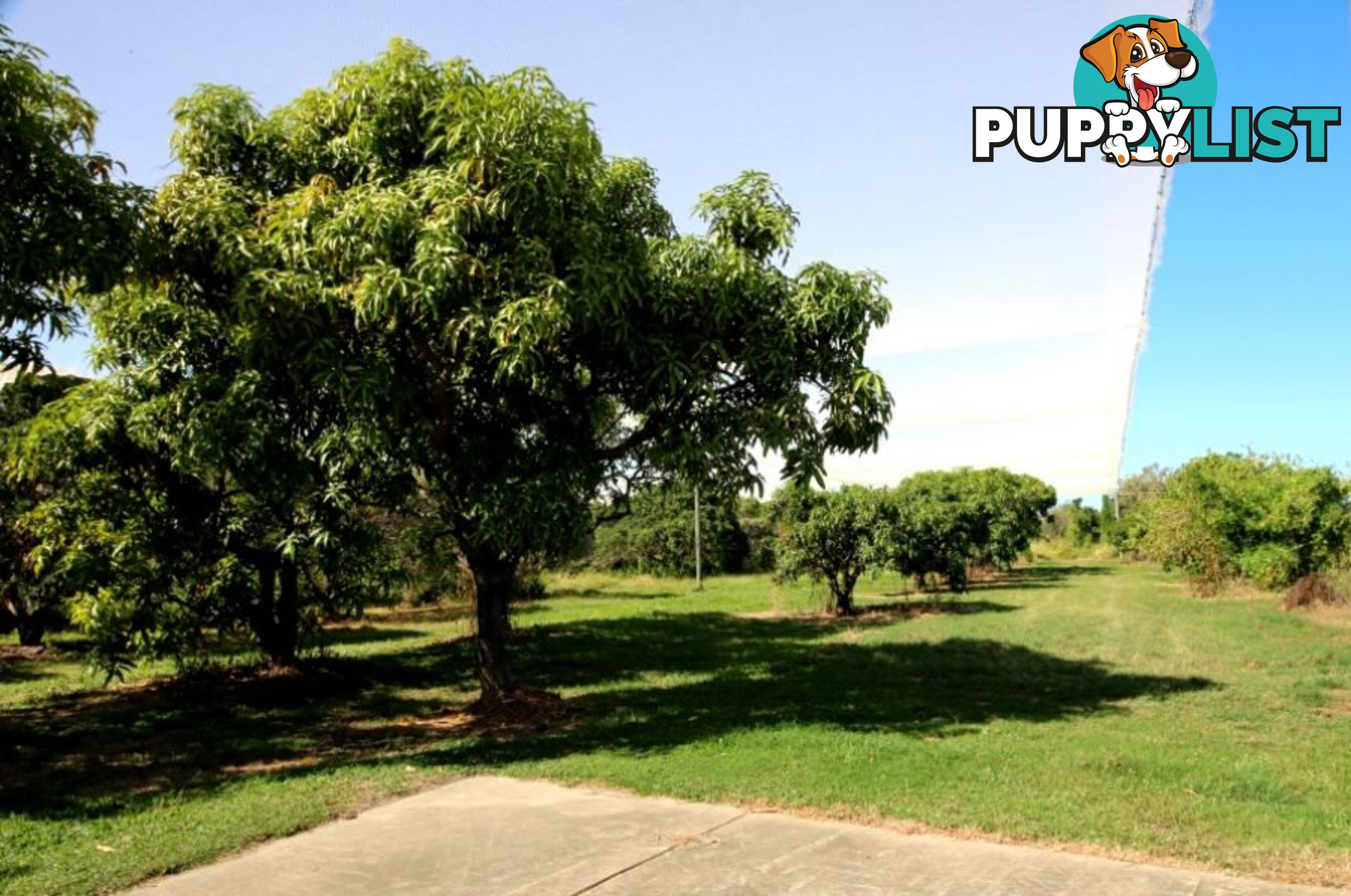 31 Balgal Beach Rd BALGAL BEACH QLD 4816