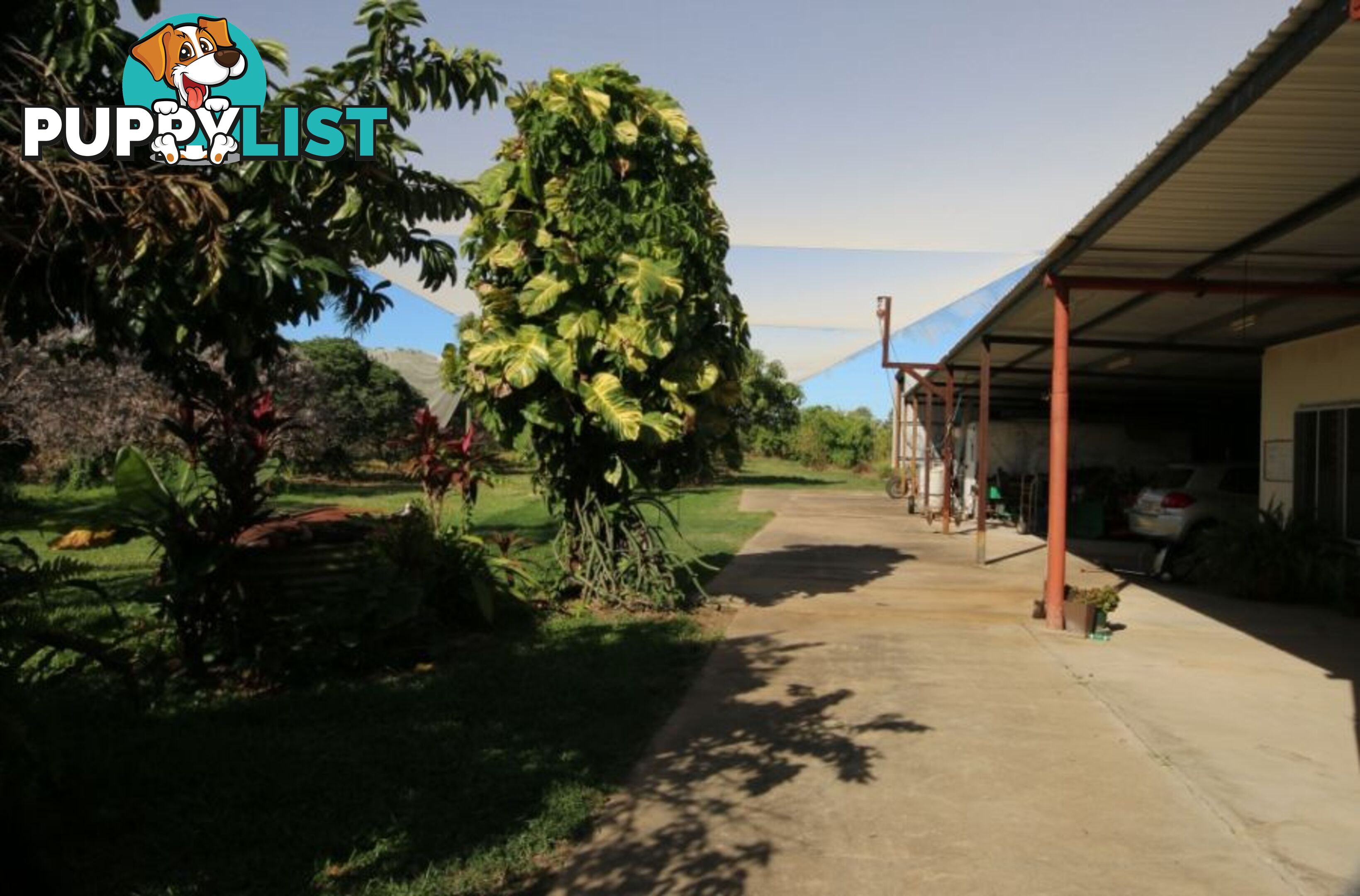 31 Balgal Beach Rd BALGAL BEACH QLD 4816