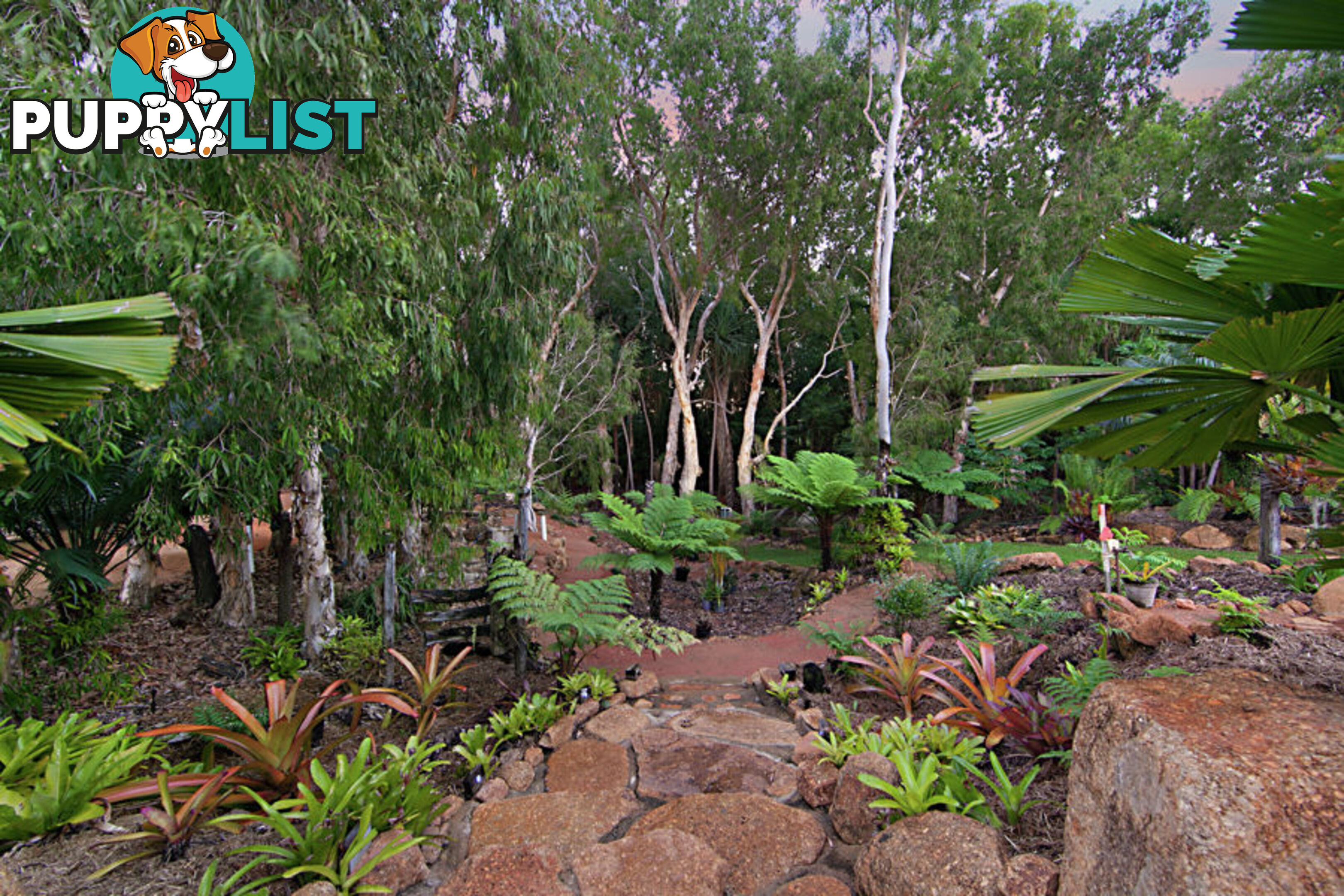 9 Augusta Dr BALGAL BEACH QLD 4816