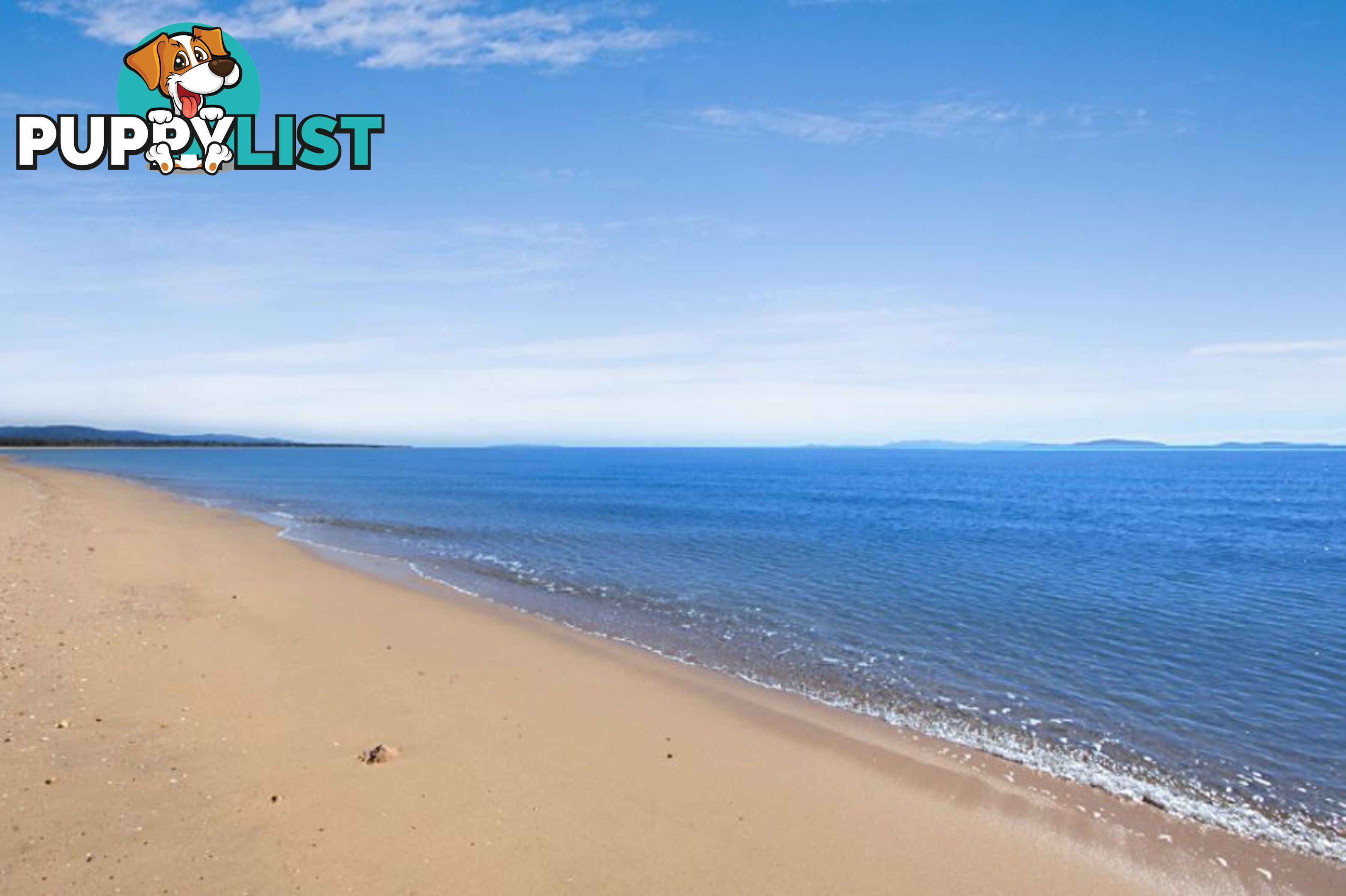 32 Madelaine Dr BALGAL BEACH QLD 4816