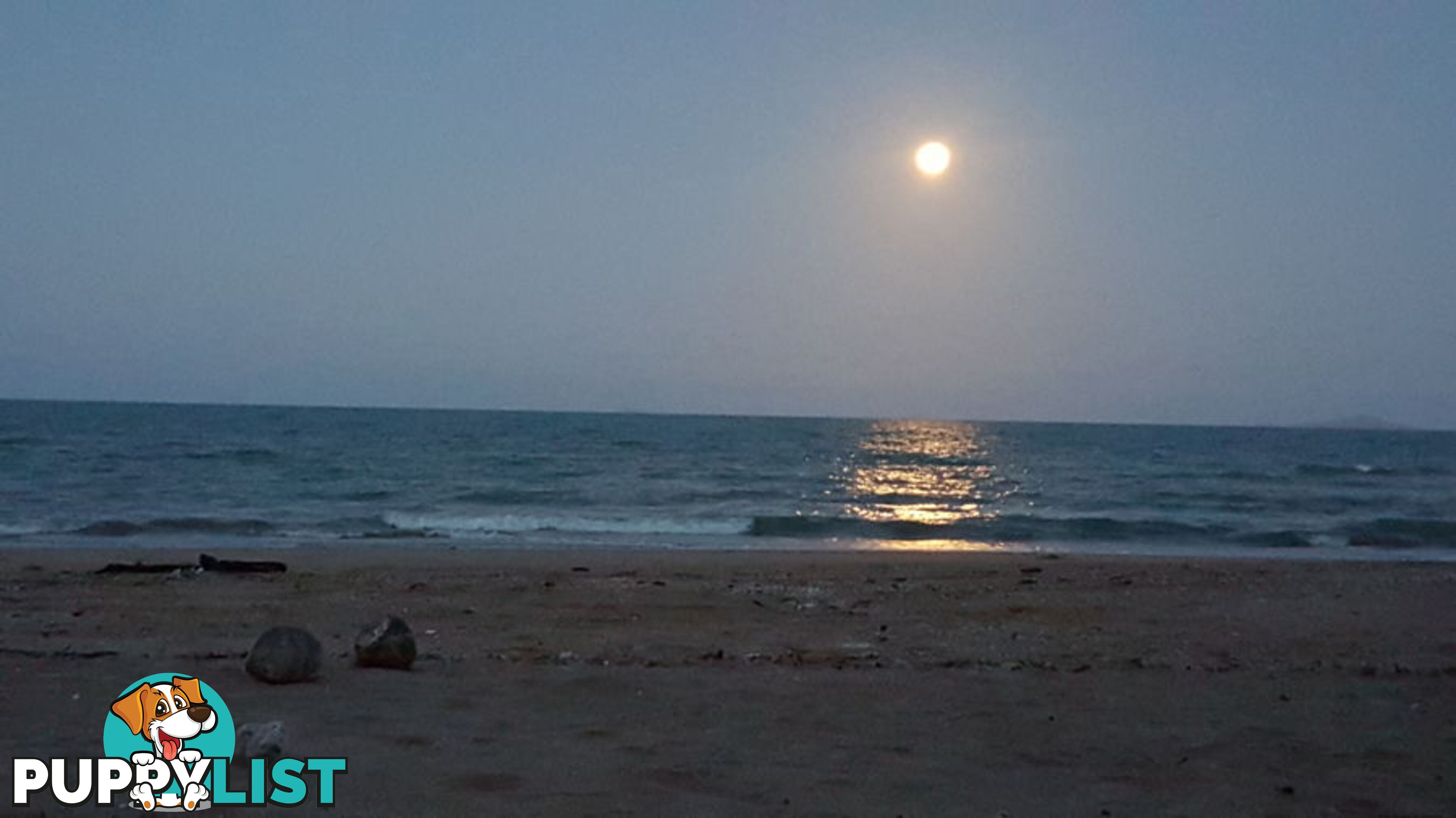 14 Medinah Crt BALGAL BEACH QLD 4816