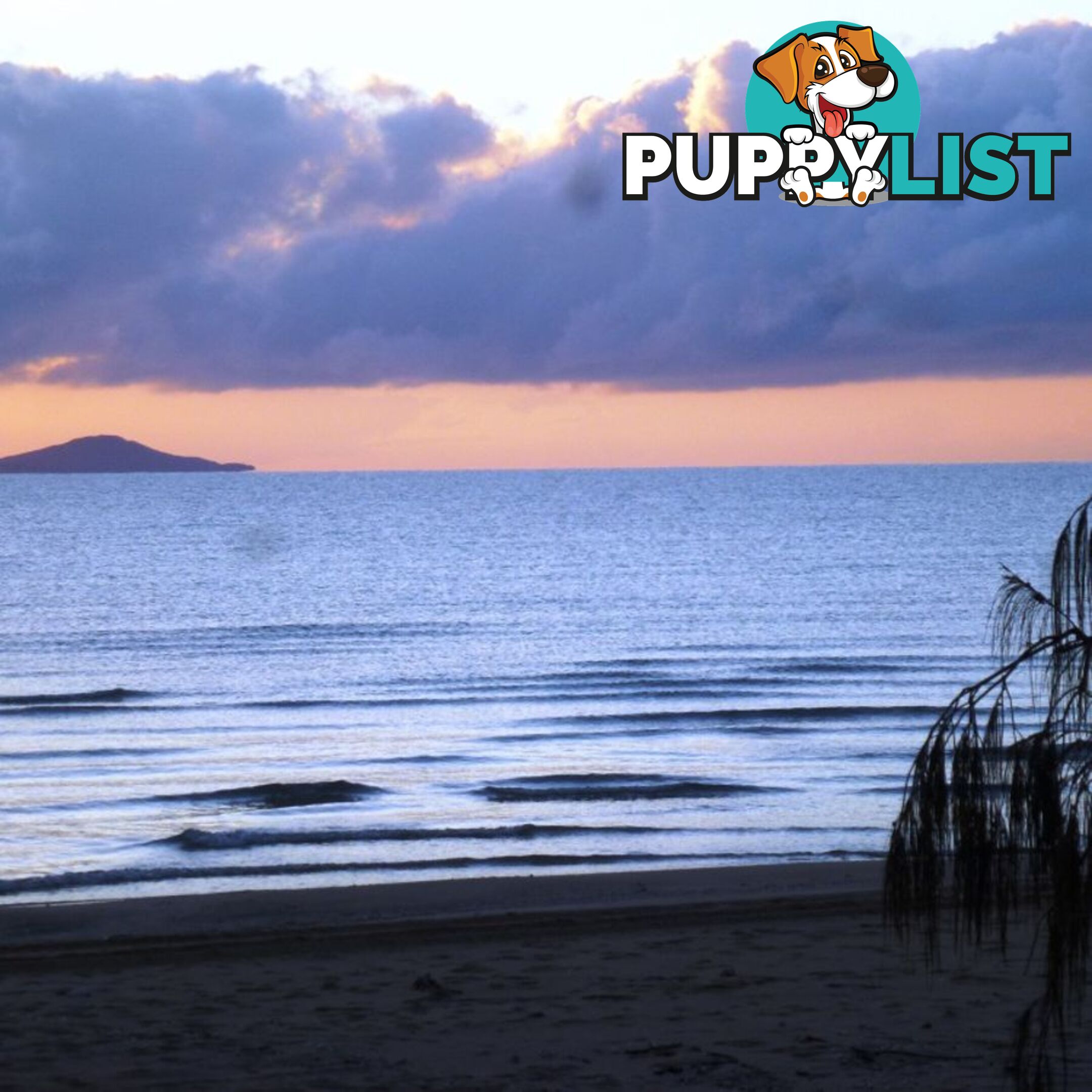14 Medinah Crt BALGAL BEACH QLD 4816