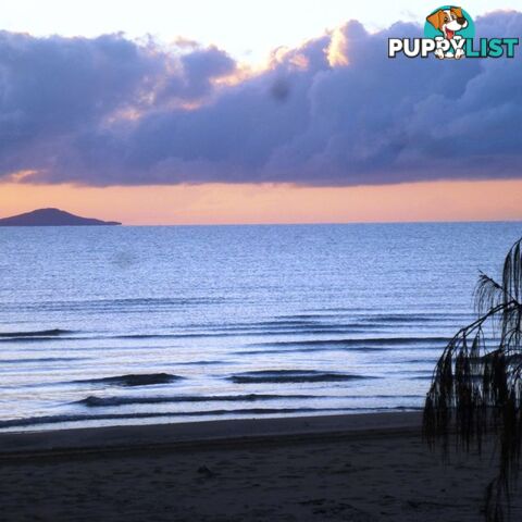14 Medinah Crt BALGAL BEACH QLD 4816