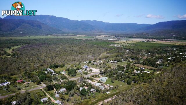 10 Turnberry Crt BALGAL BEACH QLD 4816