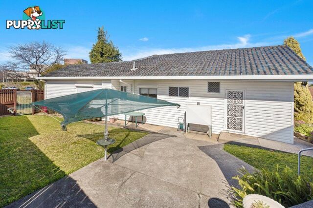 56 Greene Street WARRAWONG NSW 2502