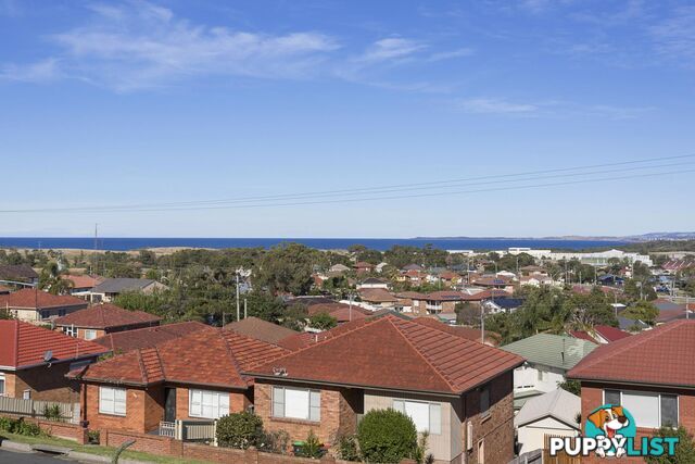 67 Donaldson St PORT KEMBLA NSW 2505