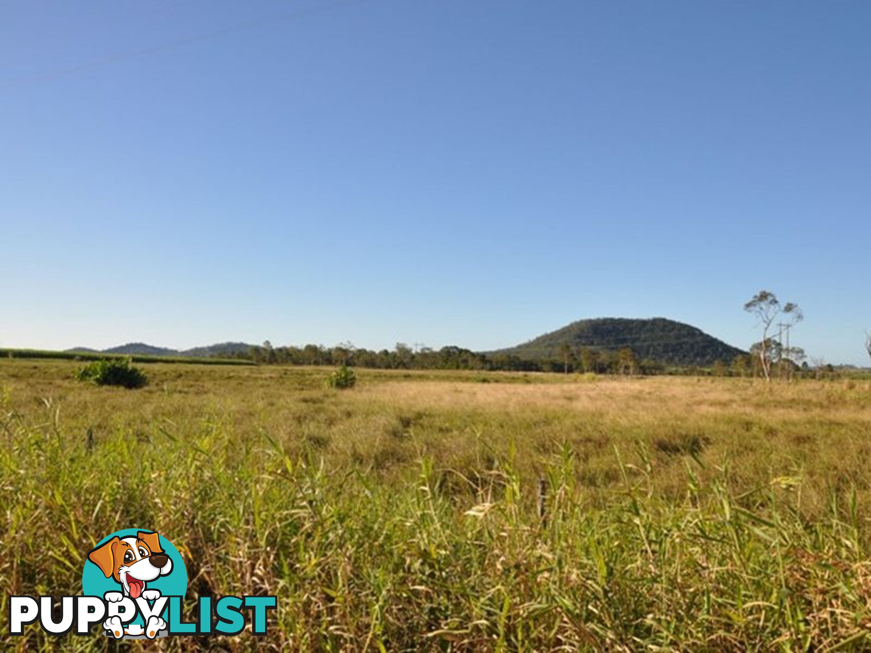 Lot 9 Plaths Road SARINA QLD 4737