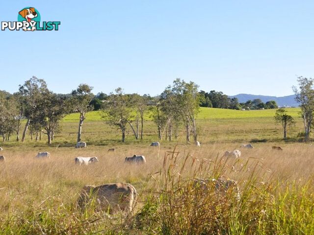 Lot 9 Plaths Road SARINA QLD 4737