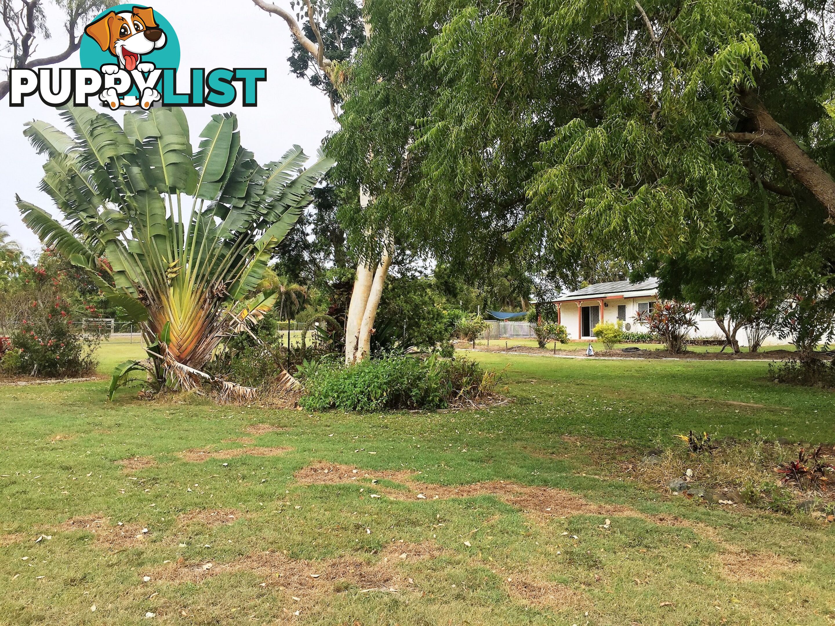 41 Windsor Drive HAY POINT QLD 4740