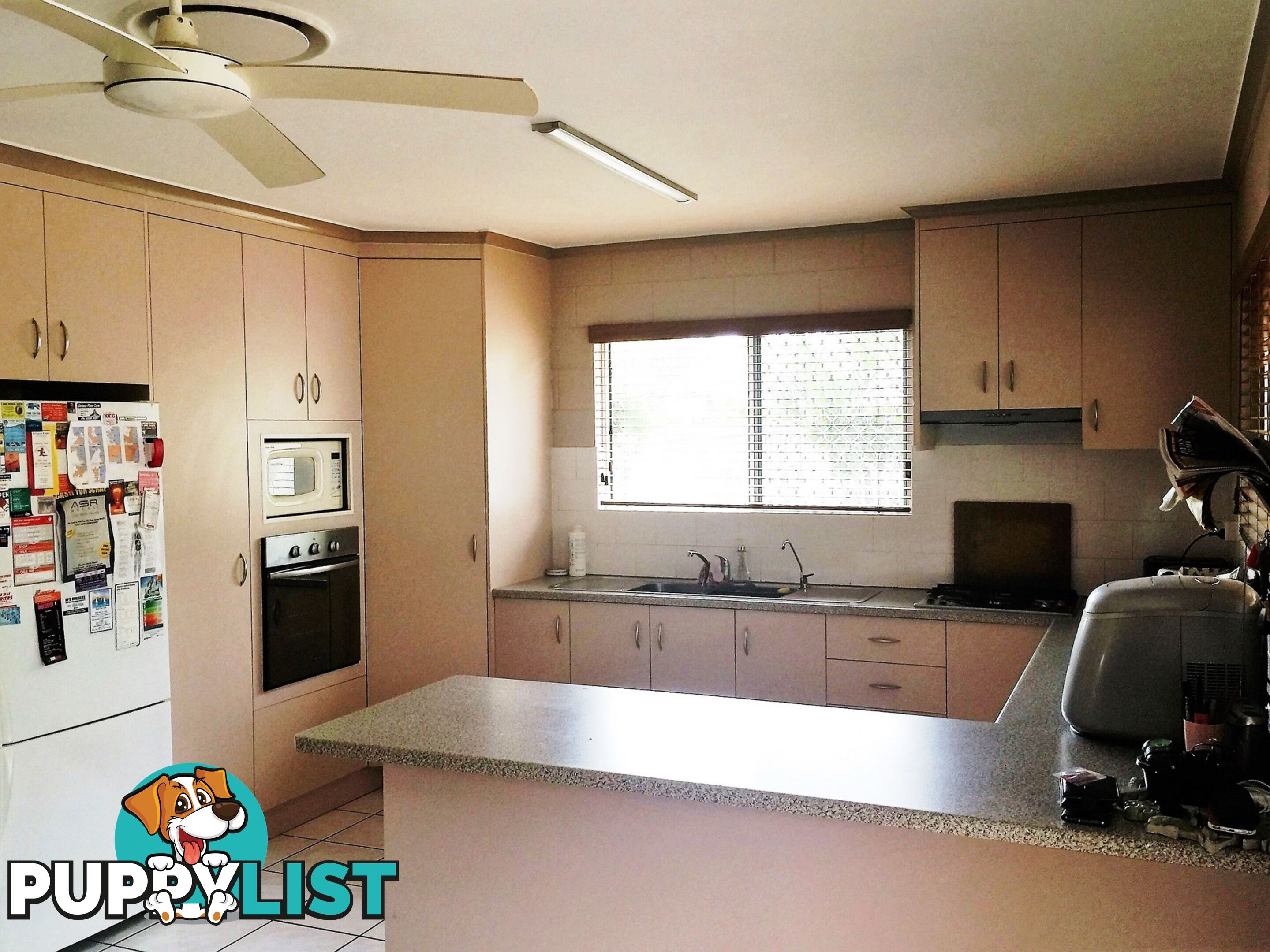 41 Windsor Drive HAY POINT QLD 4740