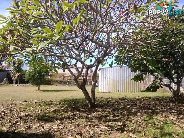 49 Pacific Drive HAY POINT QLD 4740