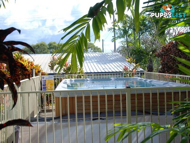 51 Cooper Avenue CAMPWIN BEACH QLD 4737