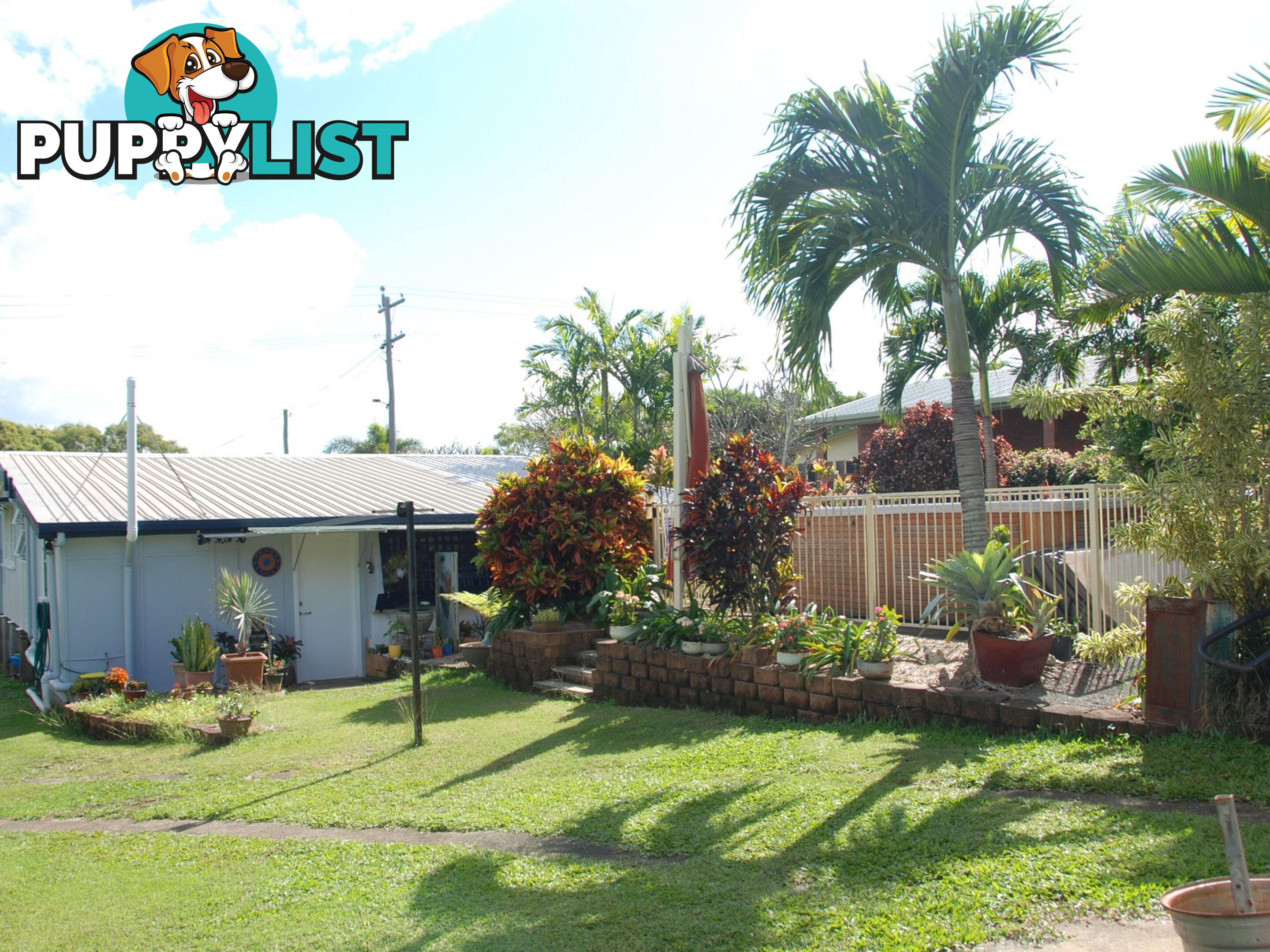 51 Cooper Avenue CAMPWIN BEACH QLD 4737