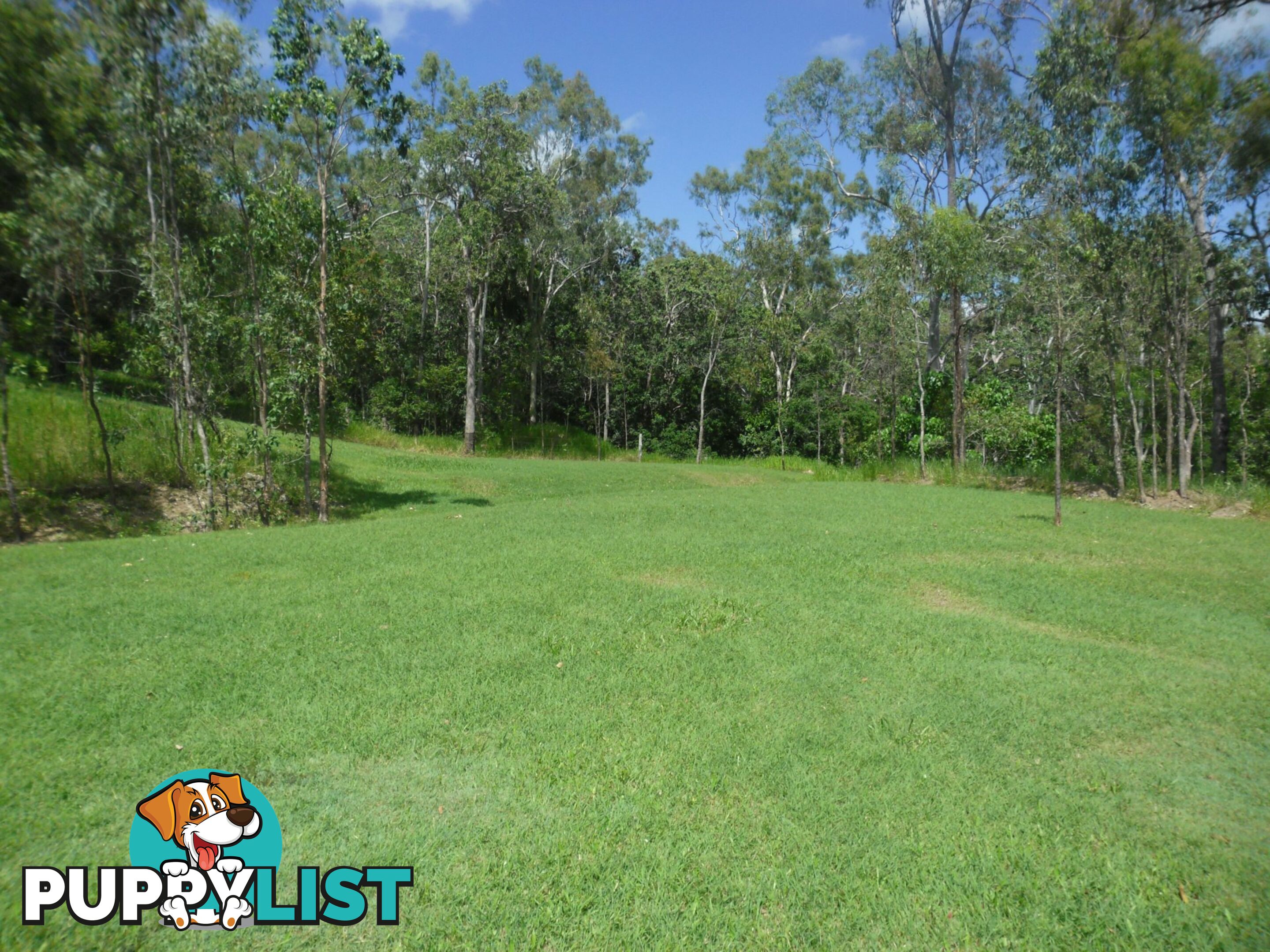 6 Lambert Rd SARINA QLD 4737