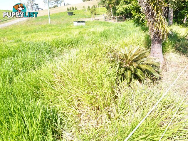 163 Fenech Avenue ALLIGATOR CREEK QLD 4740