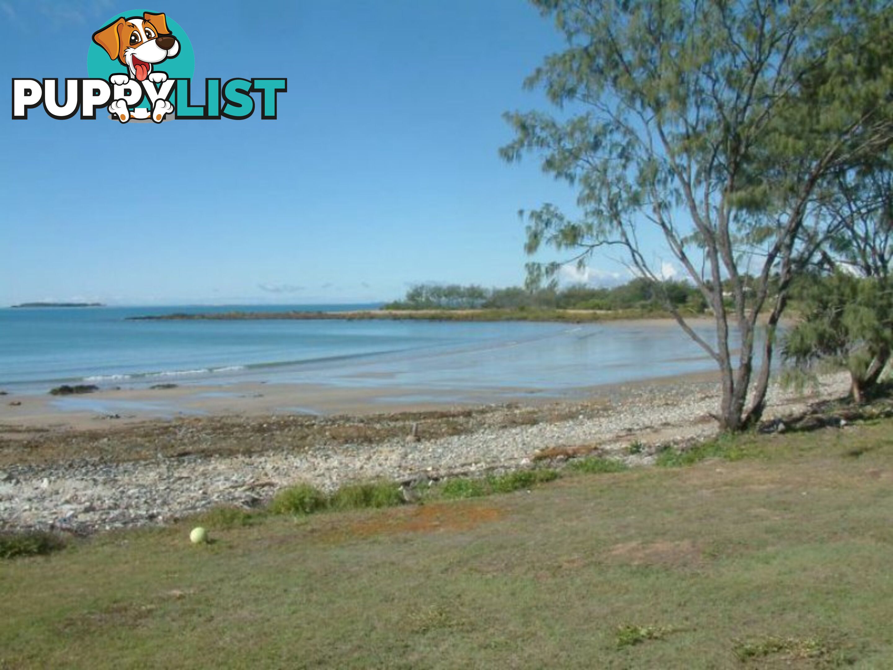 5 Tindaridge Court HAY POINT QLD 4740